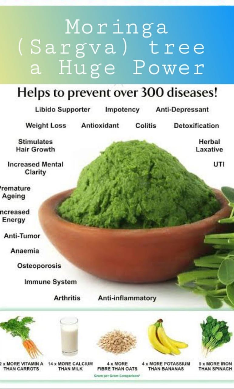 Moringa Health Benefits